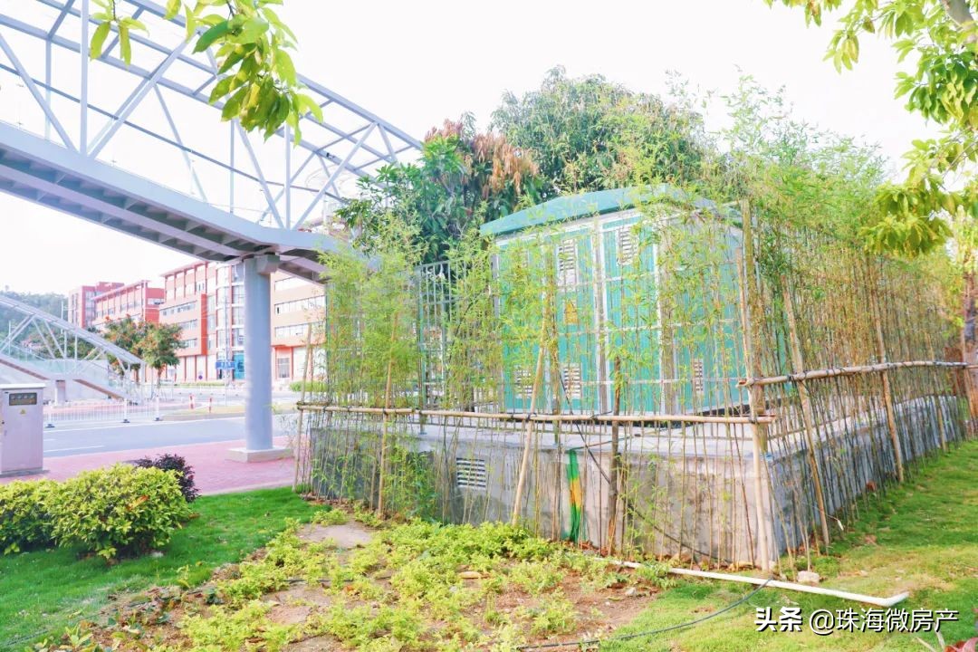 三灶镇金岛路,三灶东咀金岛路