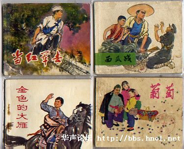 迟迟未开的花:都说他有福相命运却是悲惨