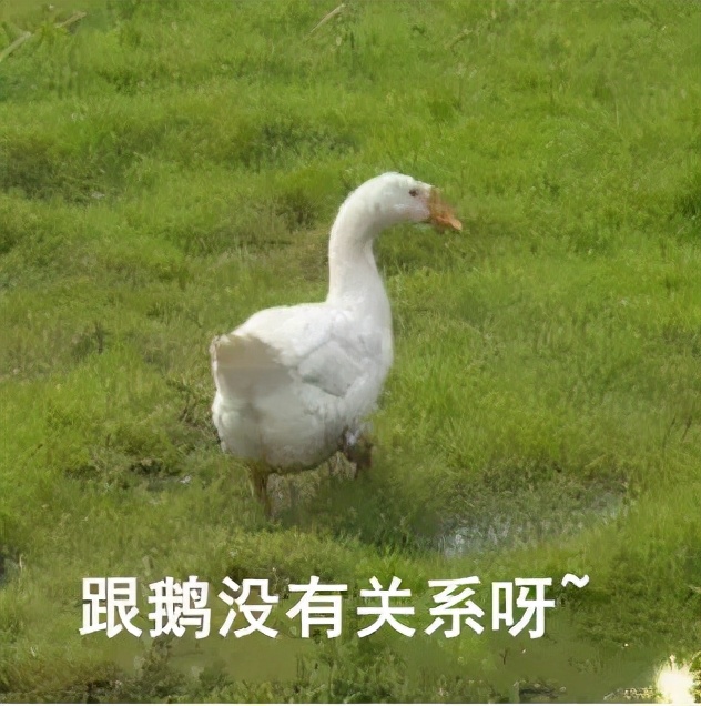 膝盖痛12种疼痛对照表图解,不同部位膝盖疼痛的原因