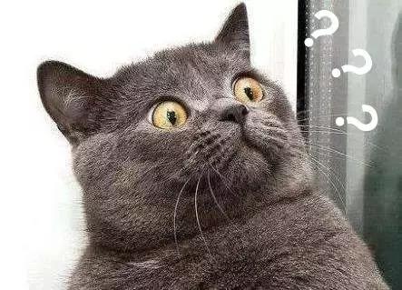 曝光含有激素的面膜,ray妆蕾面膜有激素吗