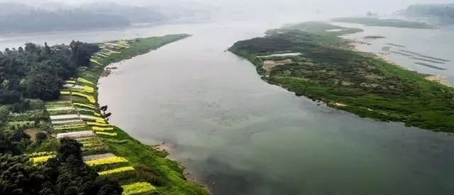 入渝第一岛中坝岛,长江入渝第一镇朱沱镇