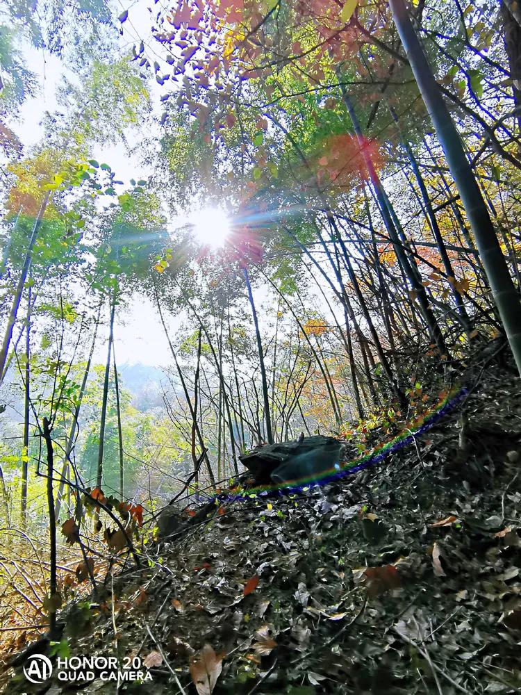 华容山水苑别墅100万,华容秀丽山水风景区