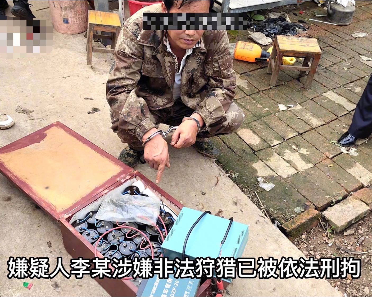 1个木箱3个人，“轻松”捕获野猪肉200多斤，为何野猪还如此猖狂