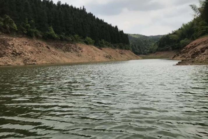 水库网箱养殖经济效益怎么样,综合养鱼怎么经济效益最好