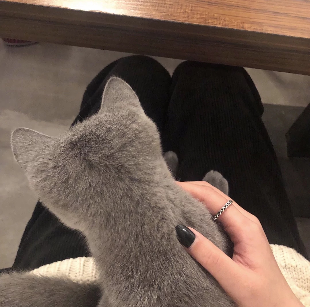 女生说没安全感是真的没安全感吗,为什么女孩子说没手机没安全感