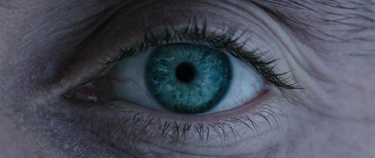 异形到底有多少种形态,异形到底存在吗