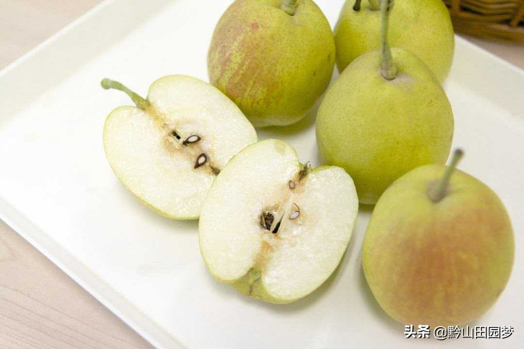 库尔勒的香梨别的地方很好吃,库尔勒珍珠香梨