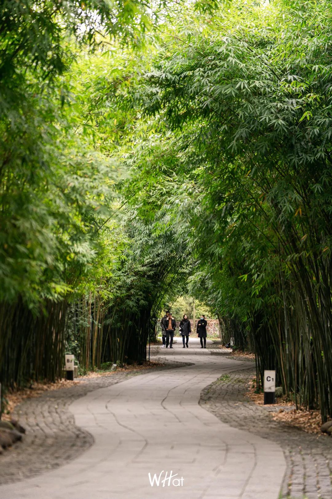 武汉周边泡温泉两日一夜,武汉泡温泉吃饭睡觉一体的温泉
