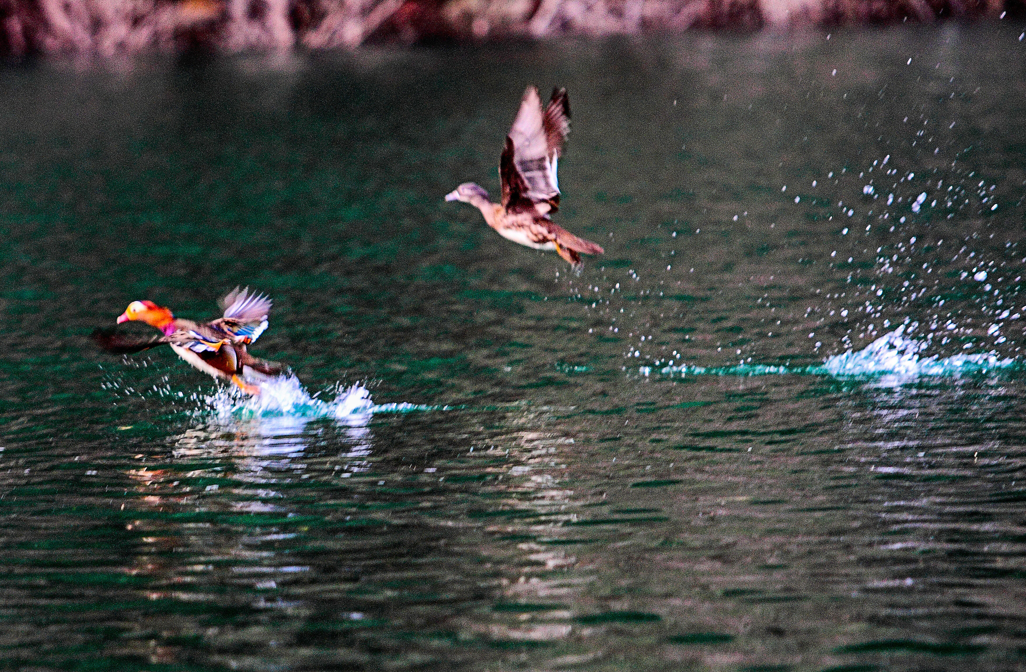 天堂纳木错完整版,天堂圣湖