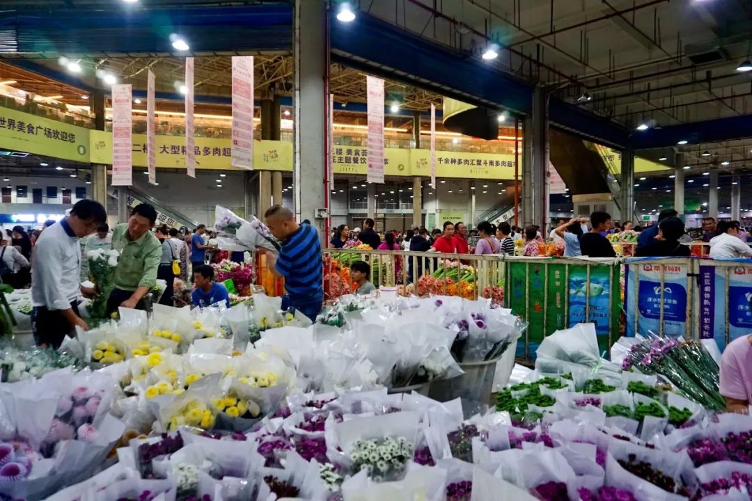 玫瑰花10支批发高原红,最好看的鲜花批发市场