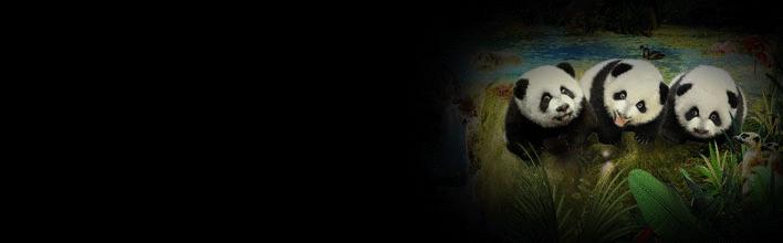 广州长隆儿童欢乐世界春节,广州长隆欢乐世界春游儿童玩什么