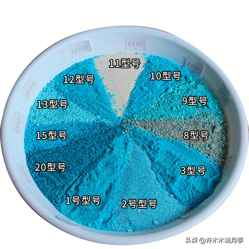 如何养月季花的技巧和施肥时间,月季怎么养开大花好看视频