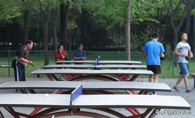 西安教育发布,平安西安最新发布