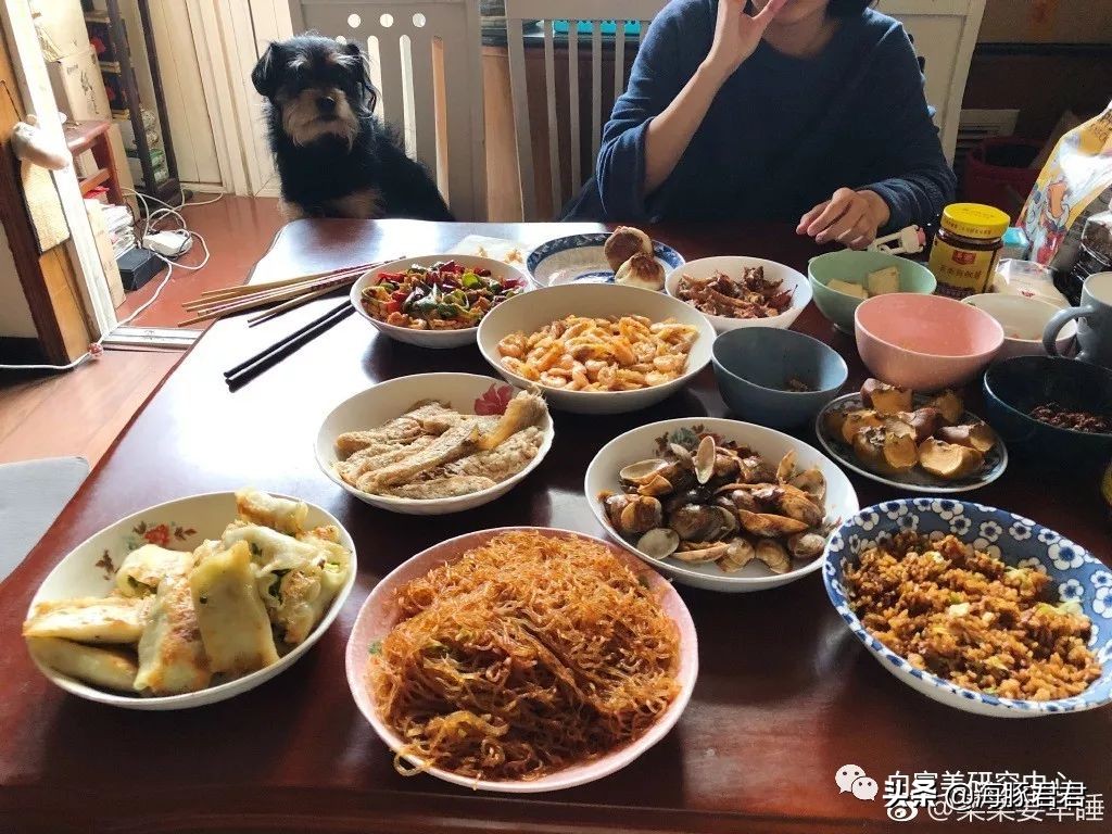 北京小公主靠吸猫血成百万大V,直播整容、大照骗、2年养死3只猫