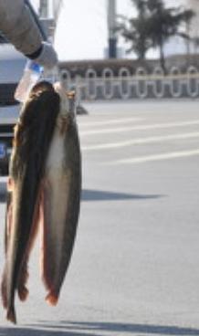 （四百二十四）数钱