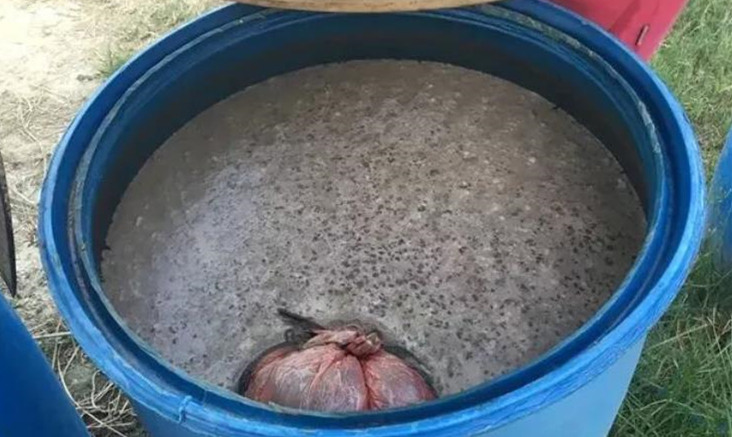 花生麸发酵用糖蜜好还是红糖好,花生麸水肥发酵用红糖还是糖蜜好