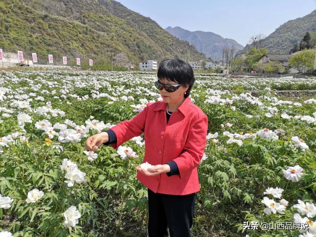 好评百分百！山西“潞安娜”火了，“纳安”激活山西“美丽经济”