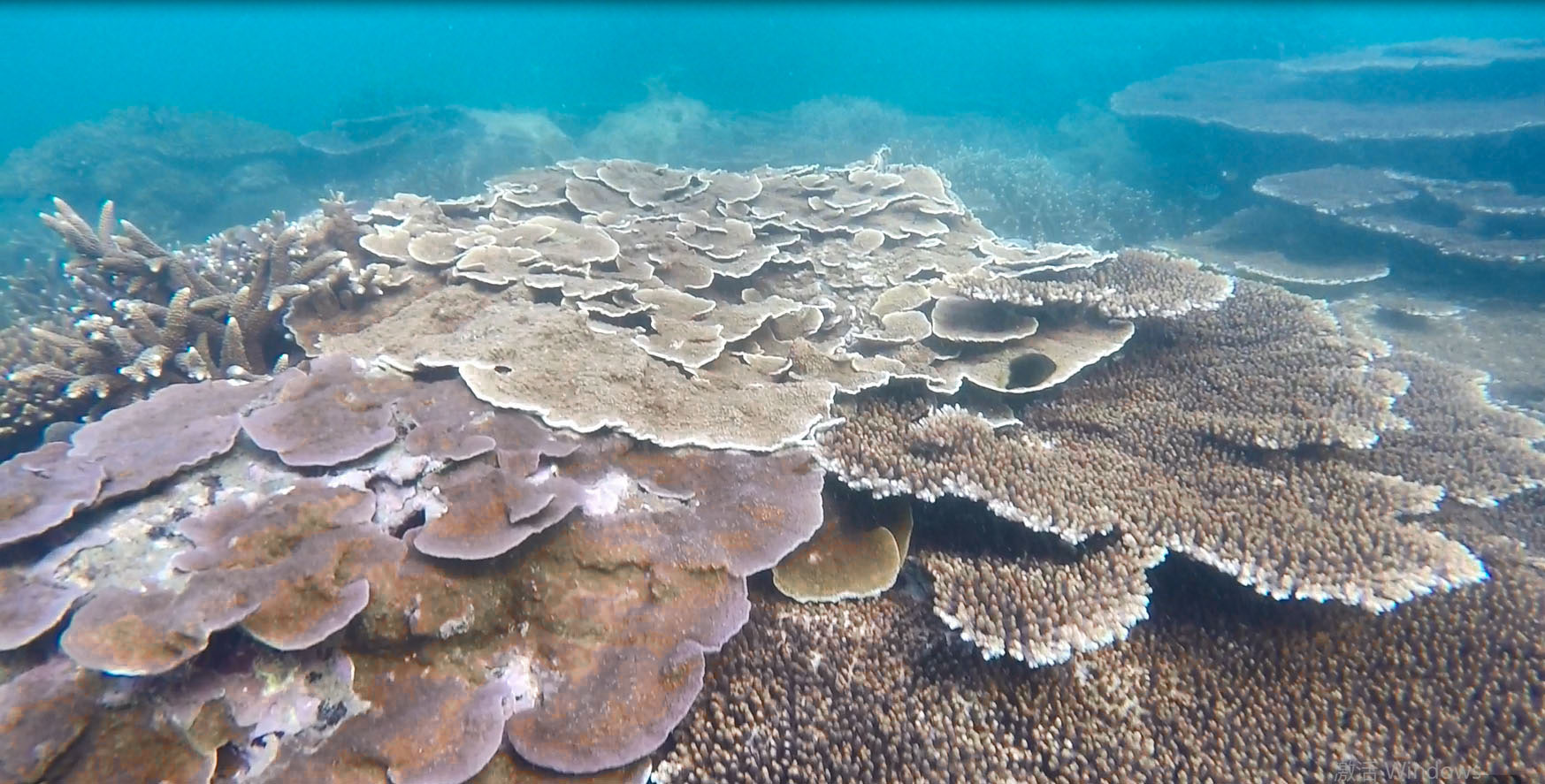 海南十大最好玩的地方三亚,海南最好玩的地方不是三亚是万宁