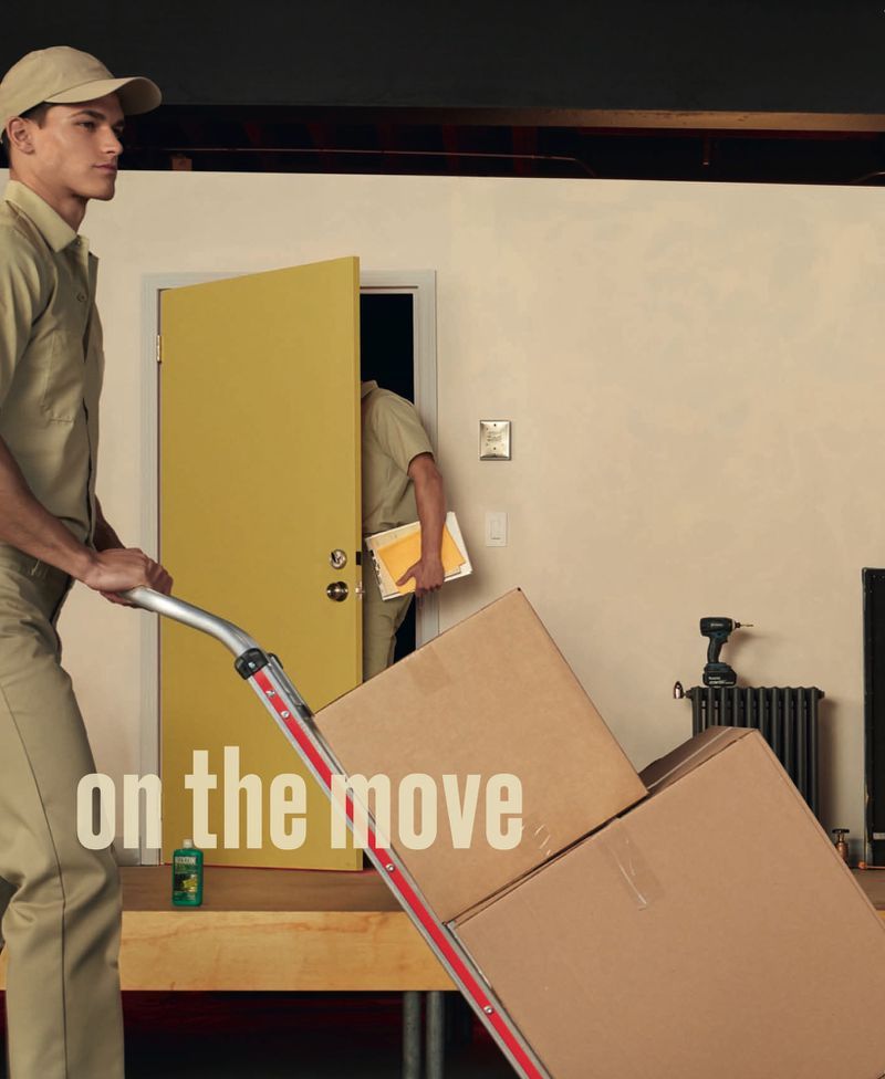 完成学业重新复出，黄金比例的小狼男模狗能否通过时尚的重新洗牌