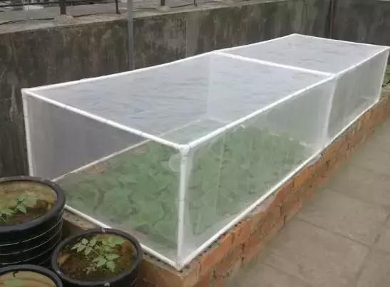 防虫网的作用主要有哪三个方面,防虫网哪种最好