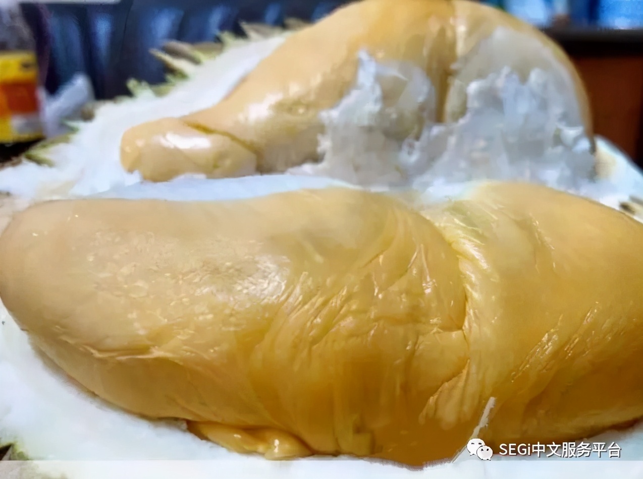 马来西亚的榴莲有啥品种,马来西亚榴莲有几种