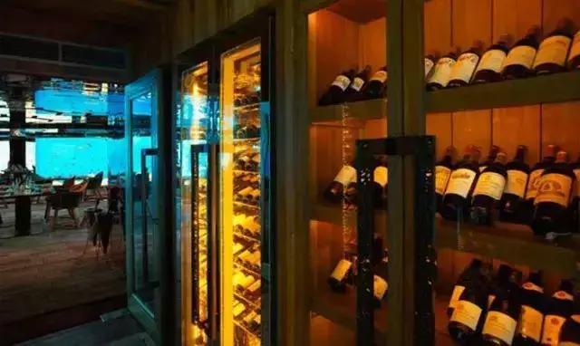 海底餐厅推荐大全,高级海底餐厅