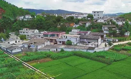 未来5年乡村创业趋势,走出独具特色回乡创业新路