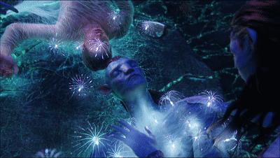 阿凡达最新彩蛋,阿凡达你不知道的隐藏细节