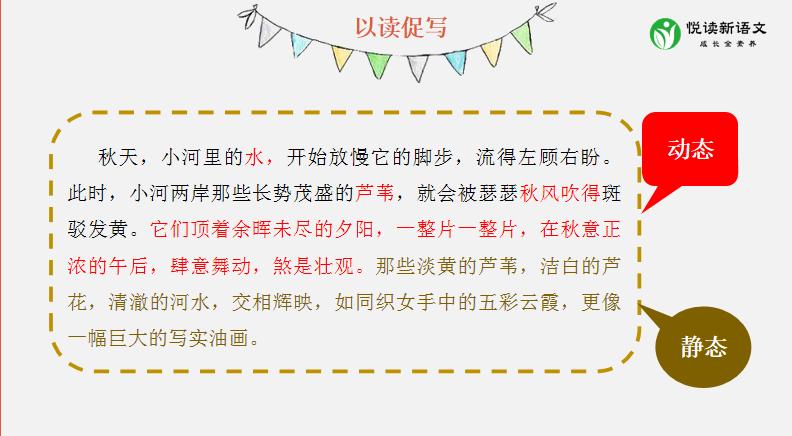 其实,你低估了自己!语文老师的成长,从“了解”开始