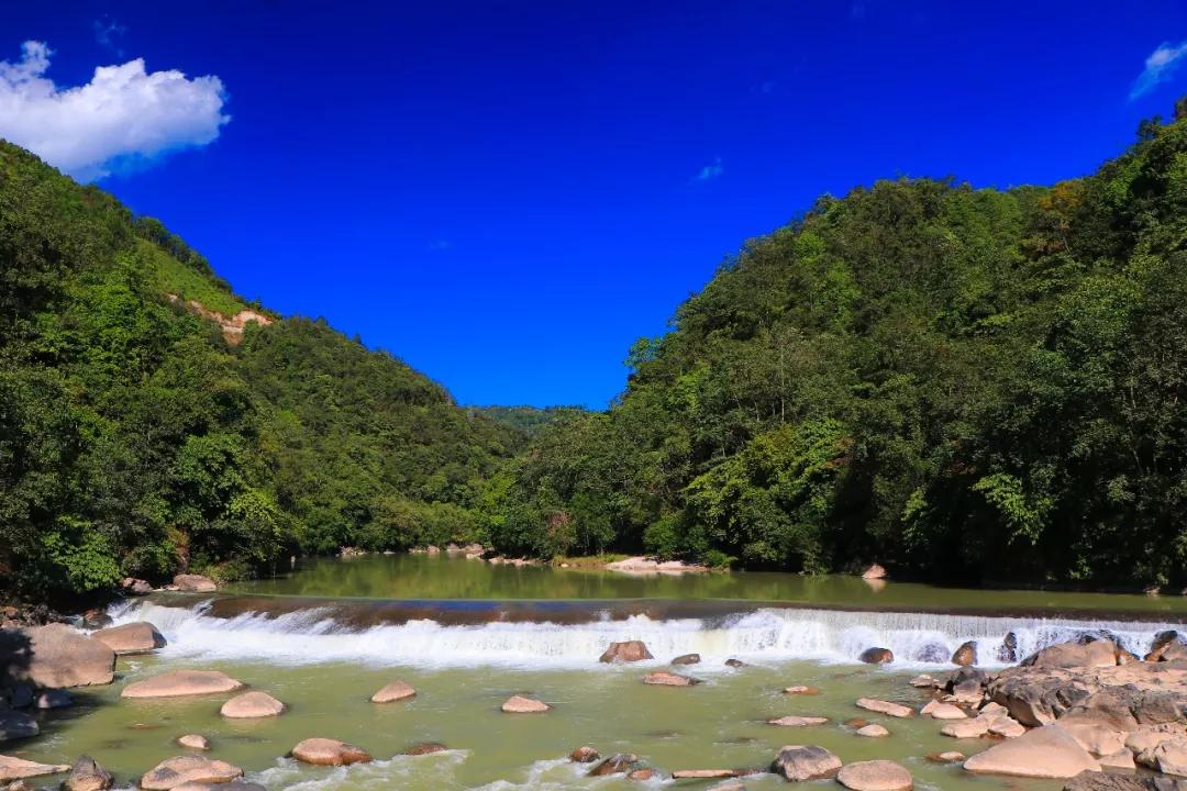 慢游腾冲樱花谷，把冬天过得浪漫一点