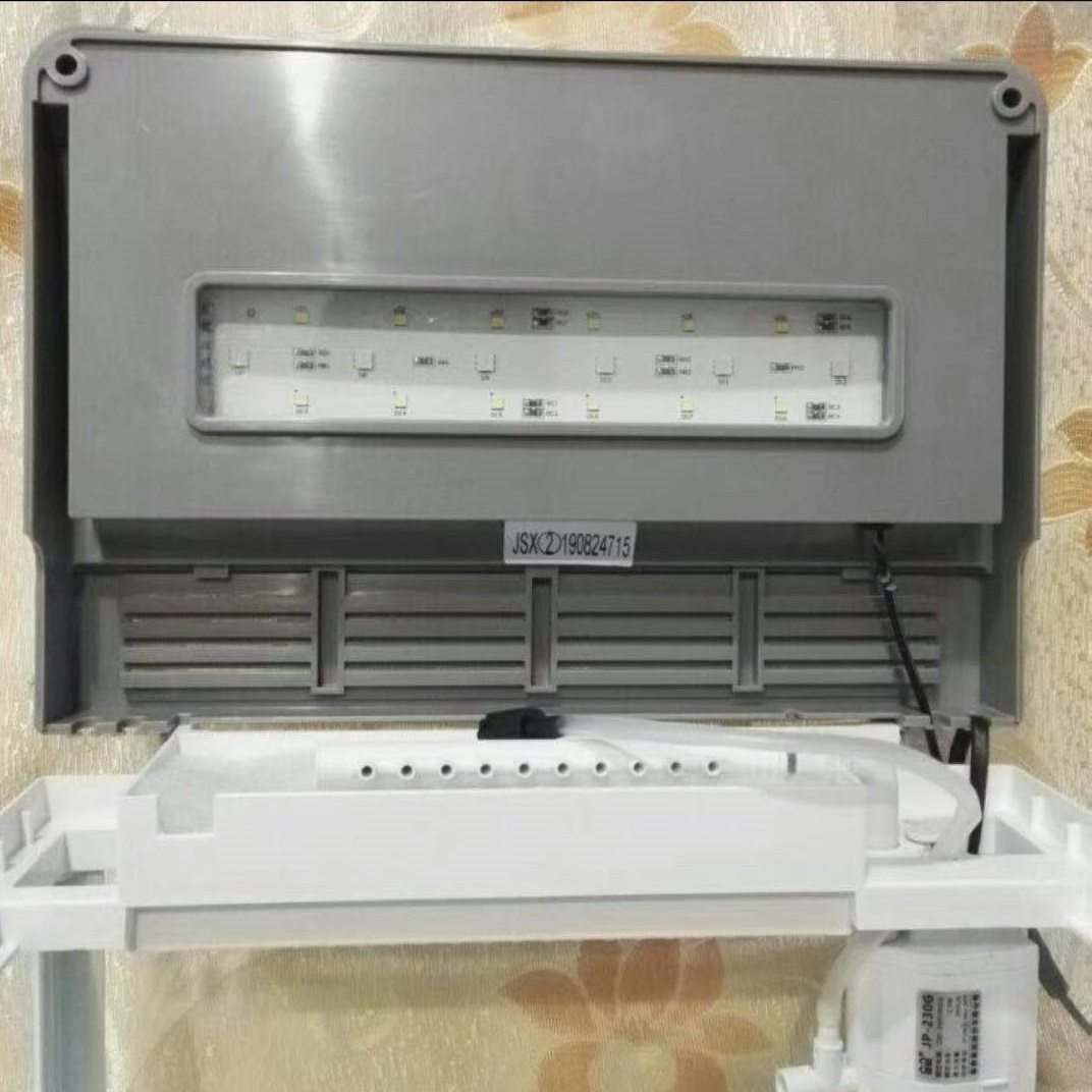 小型观赏鱼鱼缸,小型观赏鱼红箭鱼用什么鱼缸