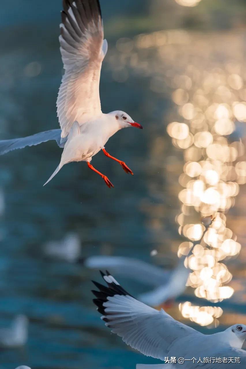 国家地理评选中国必去的50个地方,国家地理评出一生必去的30个地方