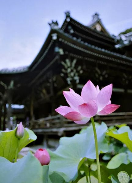 李阳民撰七律,李养民古诗