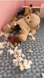 球不是这样踢滴搞笑图片,足球趣图搞笑图片