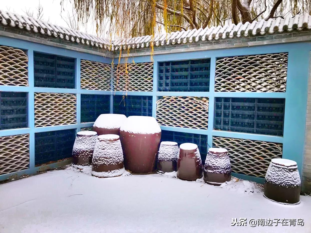 画说青岛：错过的赏雪佳境，玉山亘野，琼林分道