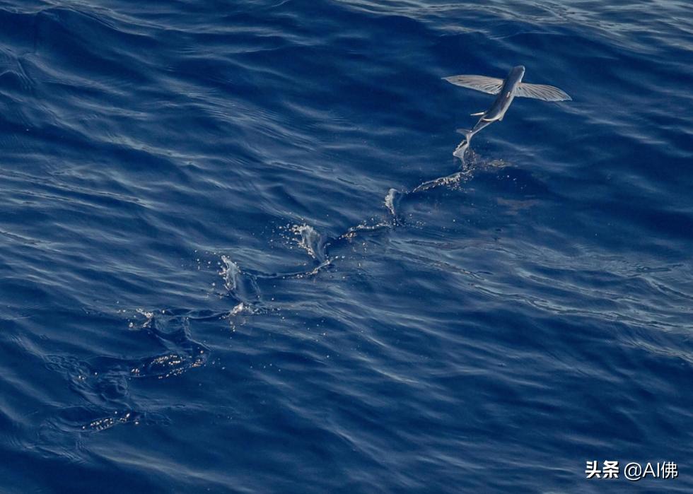 世界上最奇怪的海洋图片,世界各地的海洋照片