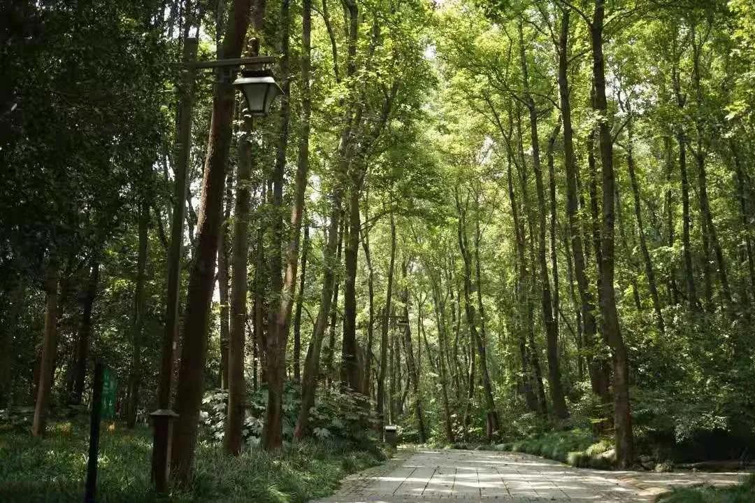 五一杭州游玩大集合,杭州景点攻略大全一日游