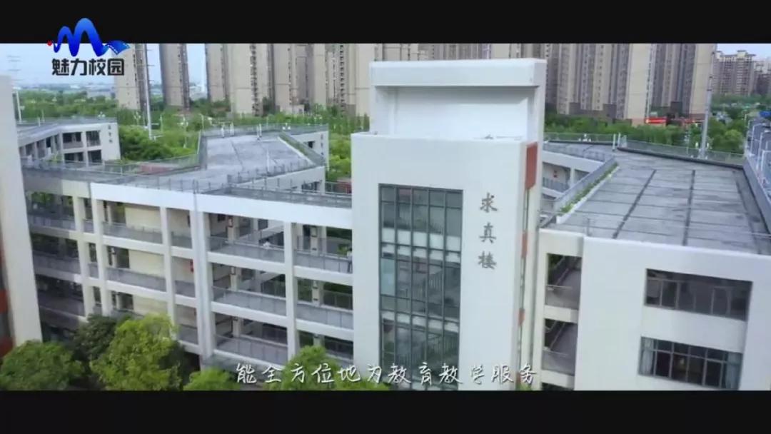 专题片|《涂亮孩子生命的底色》——南京市北京东路小学棠城分校