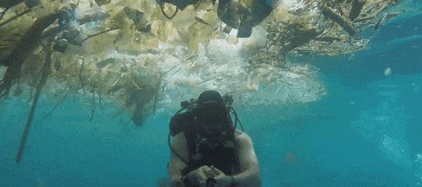 你对海洋了解多少个视频,你对海洋馆了解多少