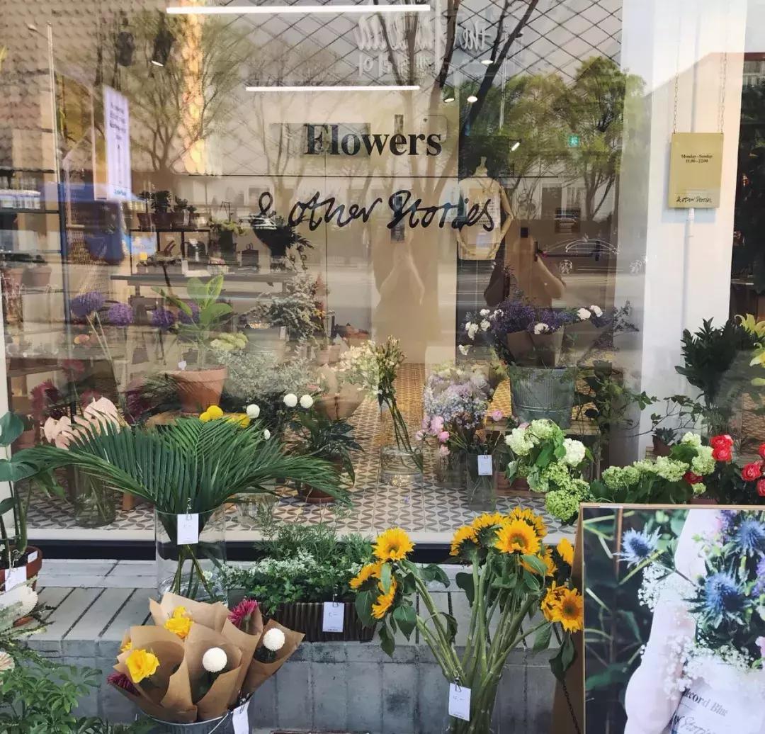 otherstories2019,otherstories