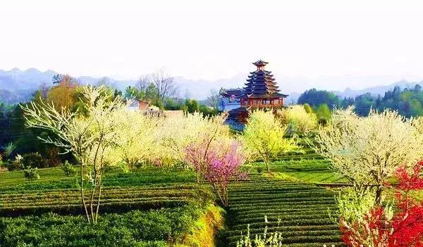 2022骞存仼鏂藉晢涓氶瓍鍔涙帓琛屾,榄呭姏鎵撳崱涔嬪煄鎭╂柦