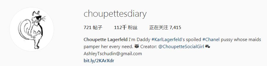 21亿遗产的猫现在怎么样了,失踪多年的猫终于回来了