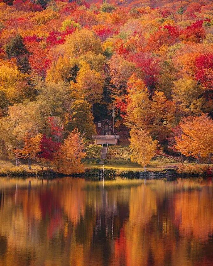 秋色正艳|掌握这6个小技巧，教你拍出绝美秋景