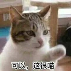 和小ck一样的小众包包,包包小ck轻奢风