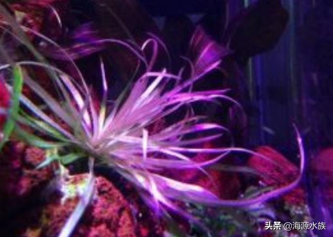 一入酒坑深似海从此钱财是路人,一入茅坑深似海下一句