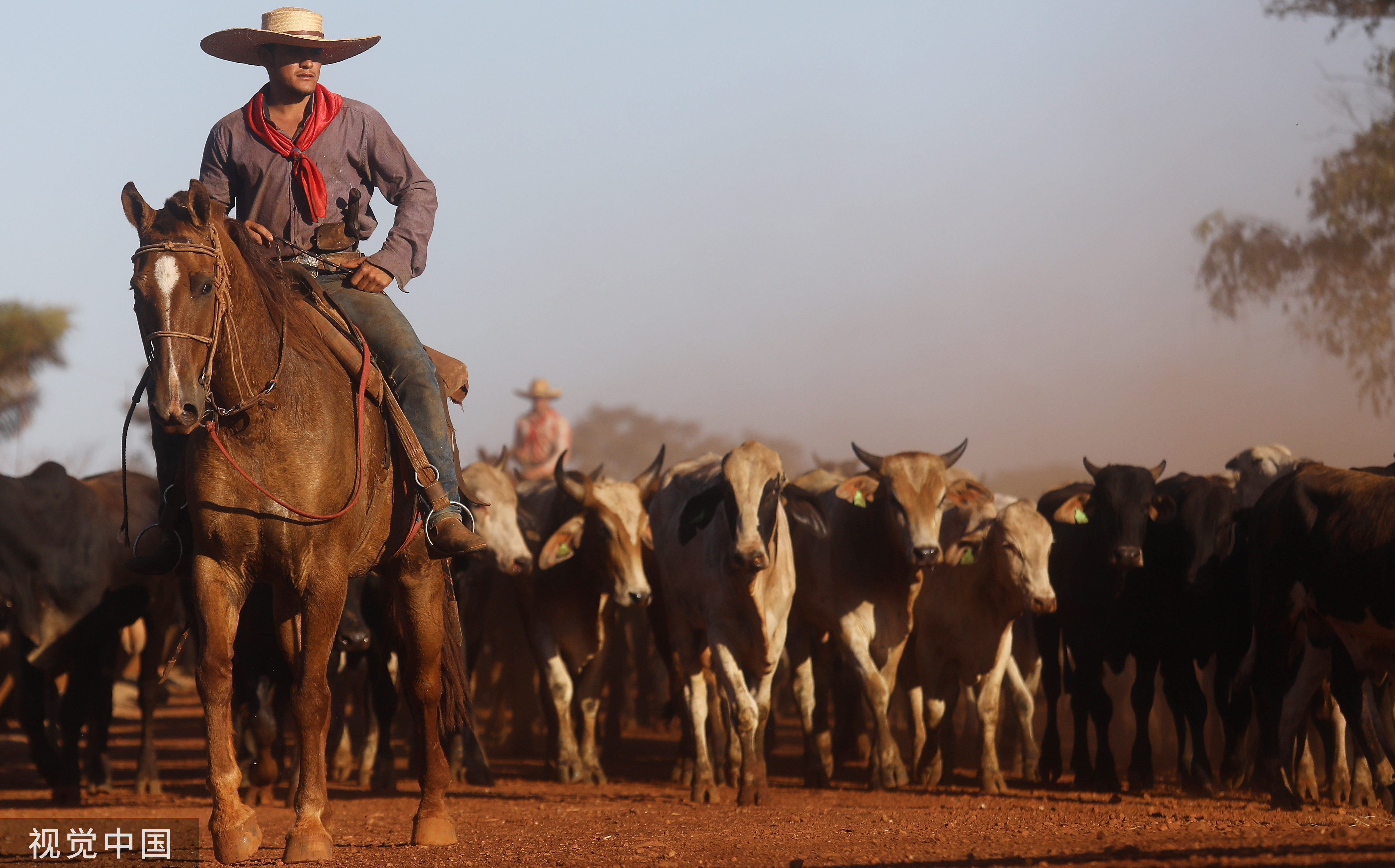 亚马逊大火灭了没,亚马孙大火辟谣