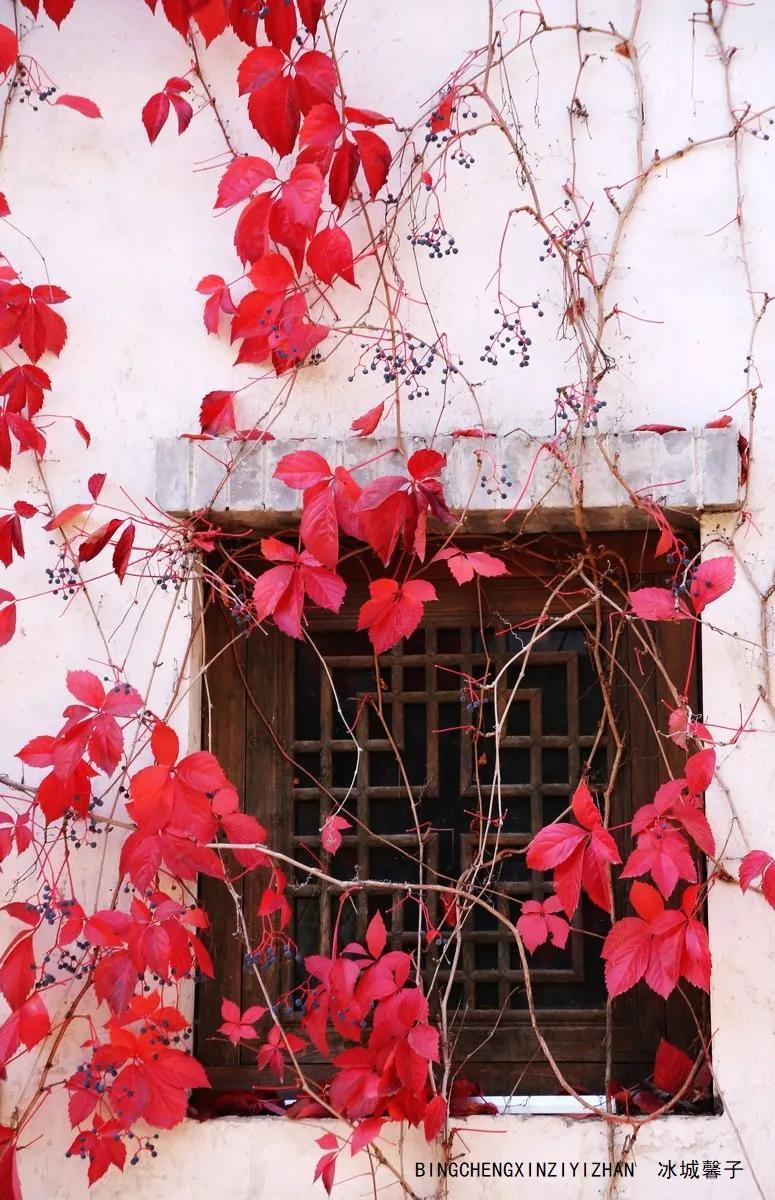 邂逅长城下的小镇北京古北水镇,邂逅长城下的北京古北水镇