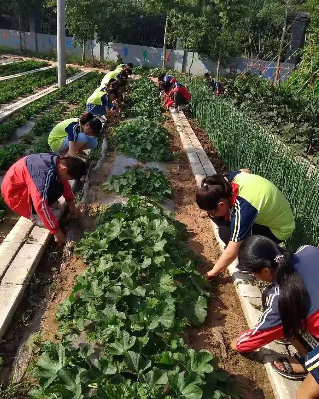 研学实践劳动教育,小学劳动教育研学活动是什么