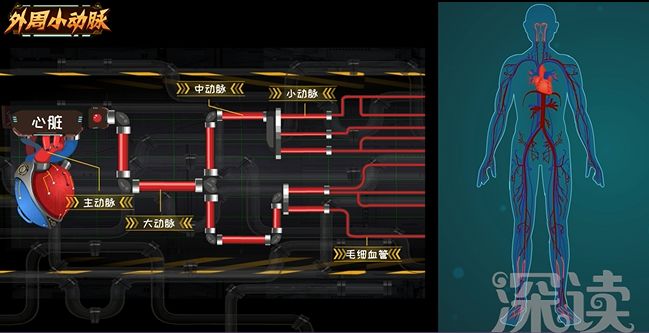 二十几岁就高血压怎么回事,二十多岁就高血压是什么原因