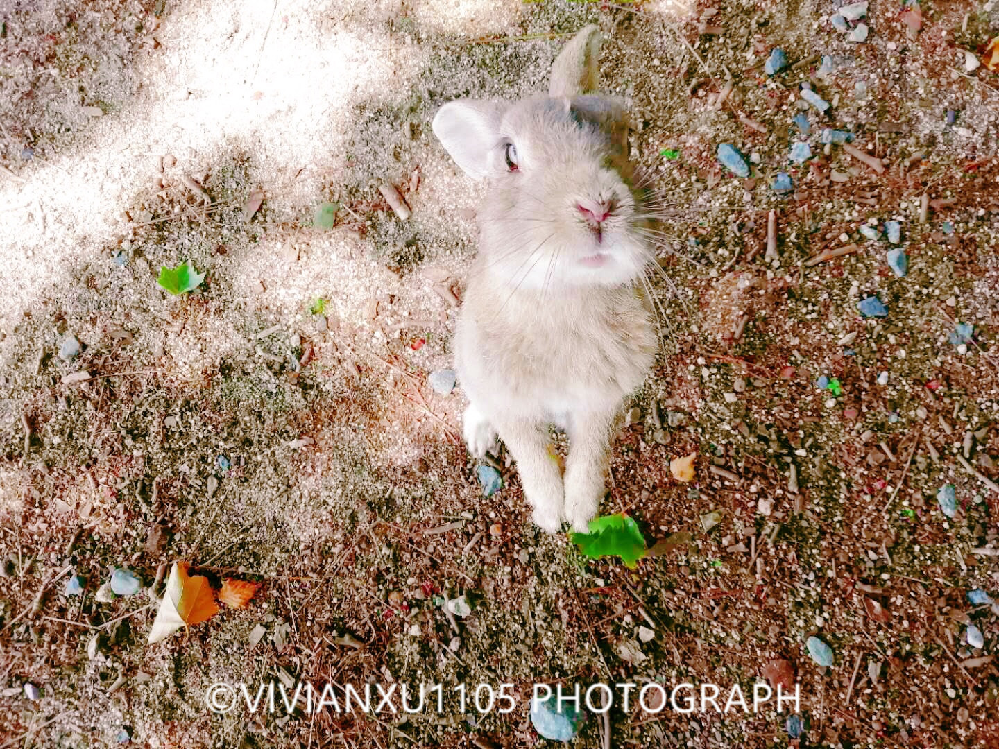 日本下关和广岛,发现不一样的风景